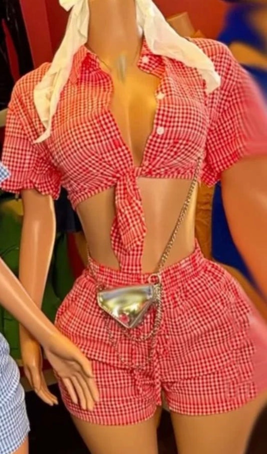 Picnic Set - Red